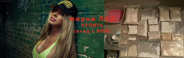 ГАЛЛЮЦИНОГЕННЫЕ ГРИБЫ Алексин