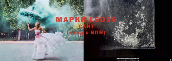 ГАЛЛЮЦИНОГЕННЫЕ ГРИБЫ Алексин