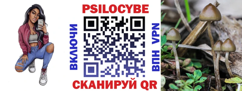 Псилоцибиновые грибы ЛСД  купить   Чадан 