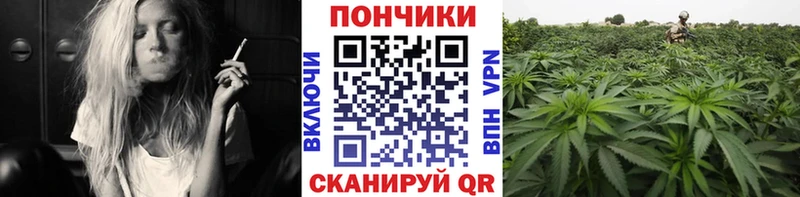 Канабис конопля Чадан
